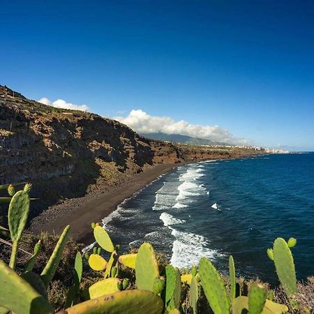 Dragos Del Mar , Espacio Natural La Orotava Buitenkant foto