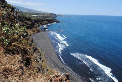 Dragos Del Mar , Espacio Natural La Orotava Buitenkant foto