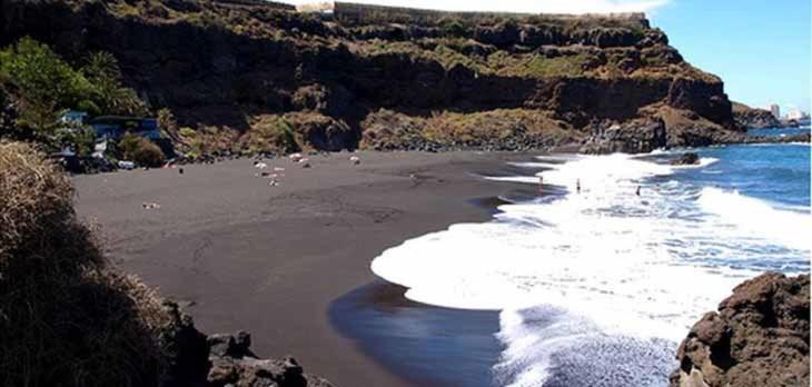 Dragos Del Mar , Espacio Natural La Orotava Buitenkant foto