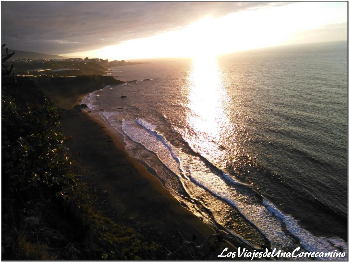 Dragos Del Mar , Espacio Natural La Orotava Buitenkant foto