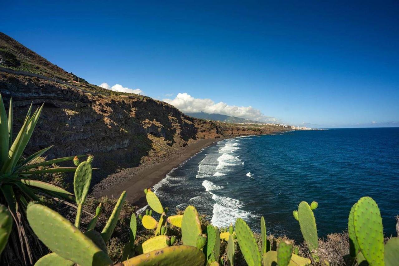 Dragos Del Mar , Espacio Natural La Orotava Buitenkant foto